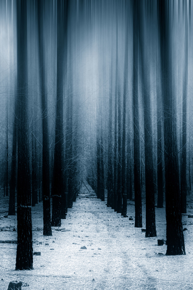 Dark Forest Woods Snow Winter Vv Wallpaper 640 X 960 - Winter Wallpapers Iphone Xs - HD Wallpaper 