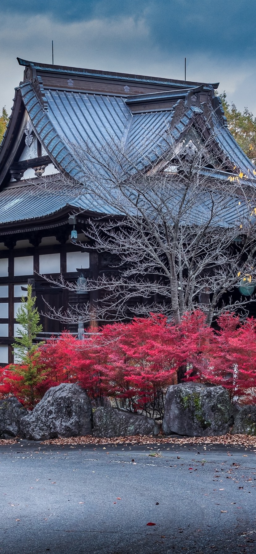 Iphone Wallpaper Japan, Numata, Houses, Trees, Autumn - Iphone Xr Wallpaper Japan - HD Wallpaper 