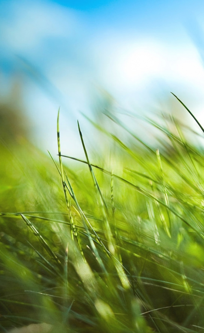 Nature Foggy Mountains Calm Lake Forest Iphone 4s Wallpaper - New Wallpaper 240 * 320 - HD Wallpaper 