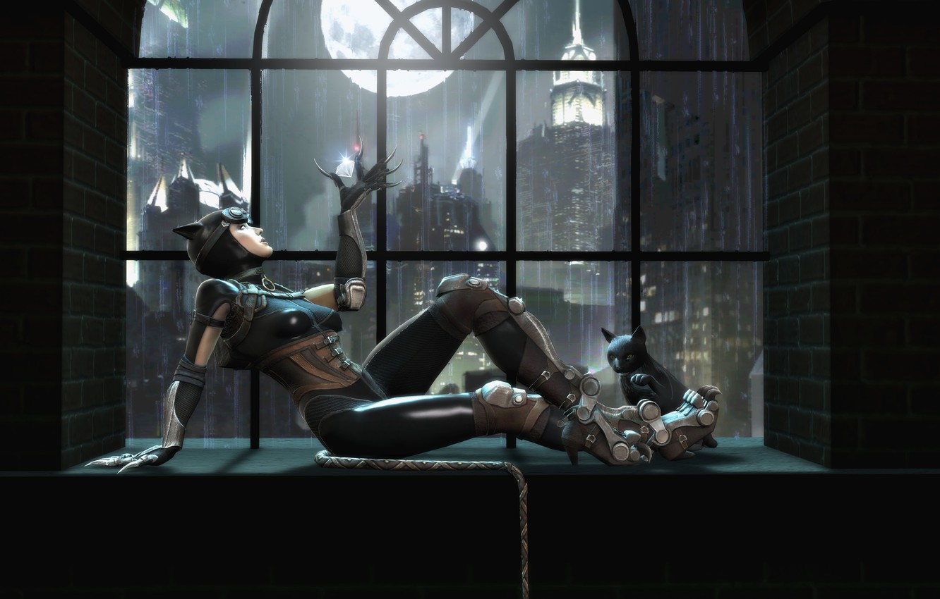 Photo Wallpaper Cat, Window, Catwoman, Catwoman, Gods - Injustice Gods Among Us Catwoman - HD Wallpaper 