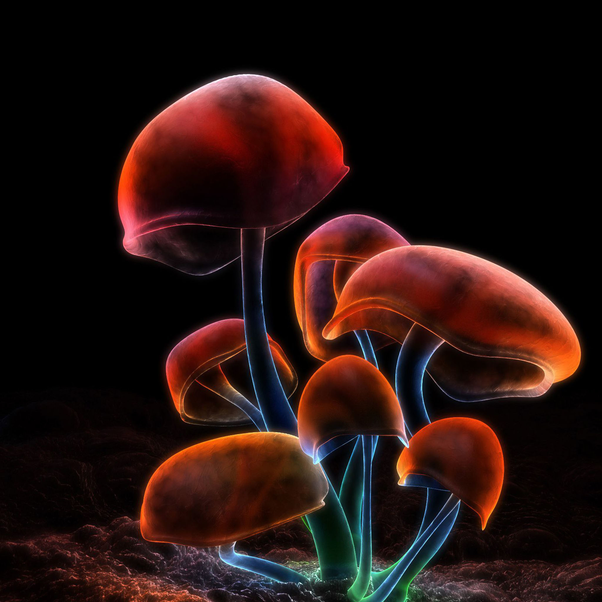 2048x2048, Download Mushrooms 2048 X 2048 Wallpapers - Digital Blasphemy Fluorescence - HD Wallpaper 