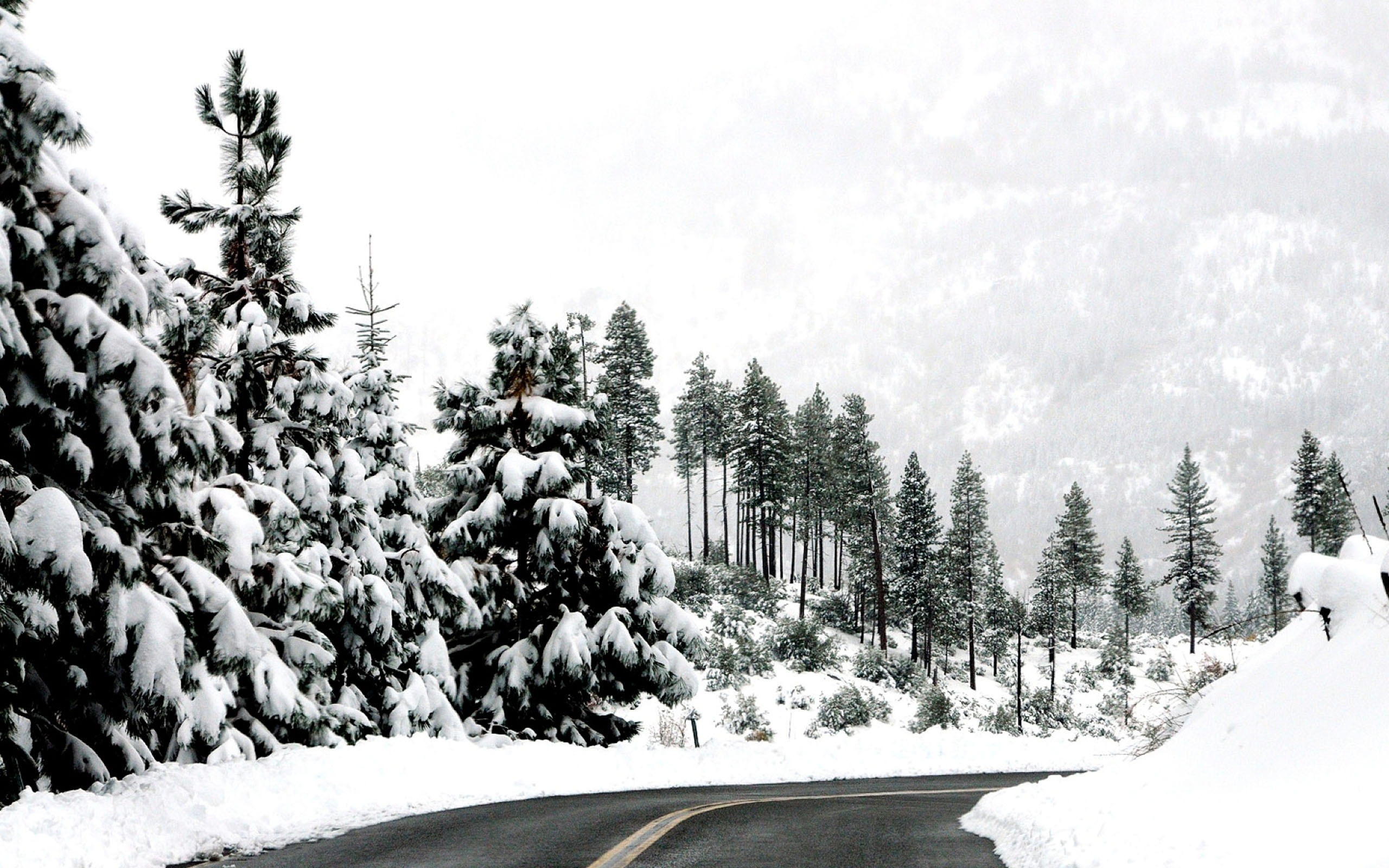 Picture Of Winter - Зимняя Дорога В Горах - HD Wallpaper 