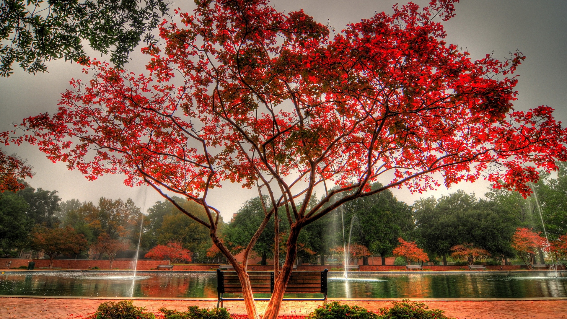 Park Beautiful Tree Bench Fountain View In Autumn - Red Autumn Tree Hd - HD Wallpaper 