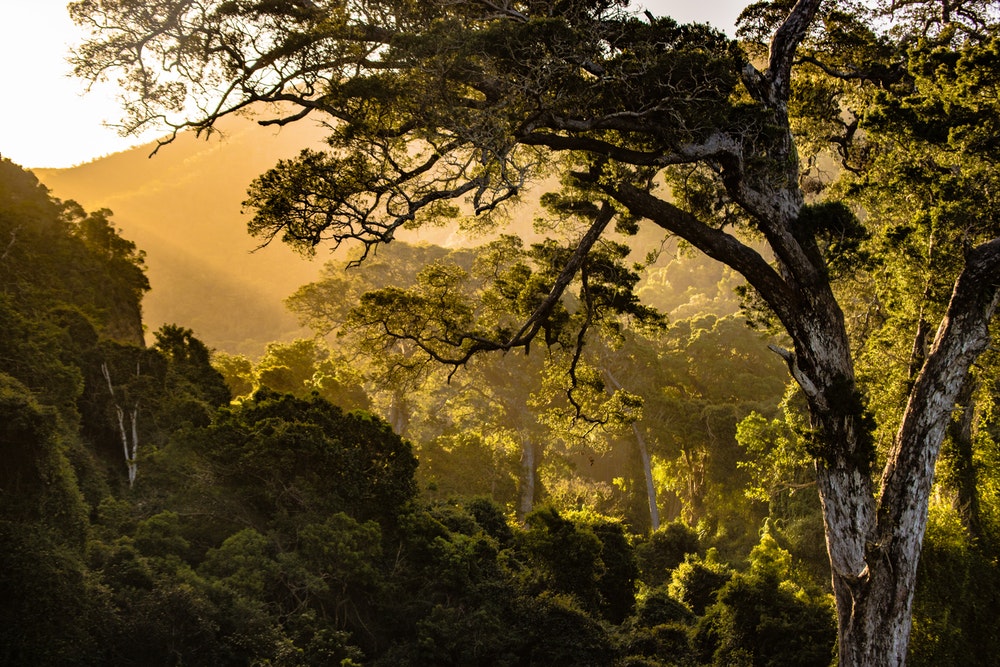 Sunset Over Nature Valley In South Africa, Free 4k - Filmes Sobre A Natureza - HD Wallpaper 