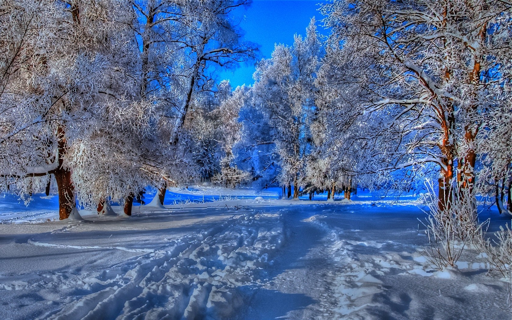 Beautiful Winter Desktop Background - HD Wallpaper 