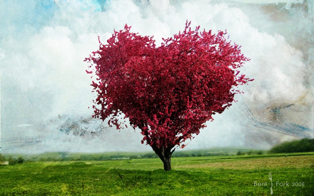 Love Tree Wallpapers Hd Wallpapers - Love Tree - HD Wallpaper 