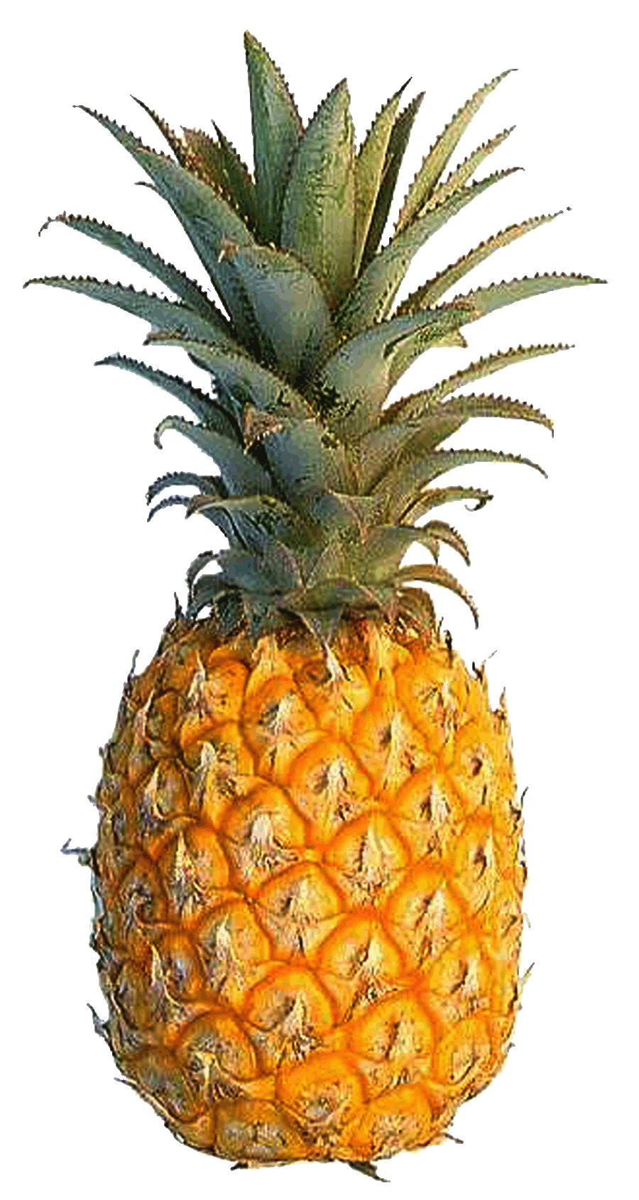 Pineapple Meaning In Urdu - HD Wallpaper 
