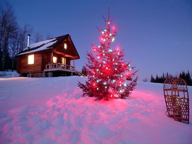 Christmas Live Wallpaper For Pc - Winter Christmas Nature - HD Wallpaper 