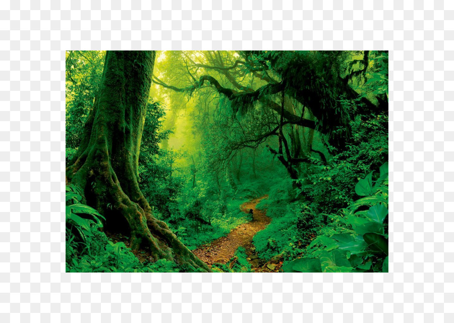 Green Grass Background - Educa 1000 Puzzle - HD Wallpaper 