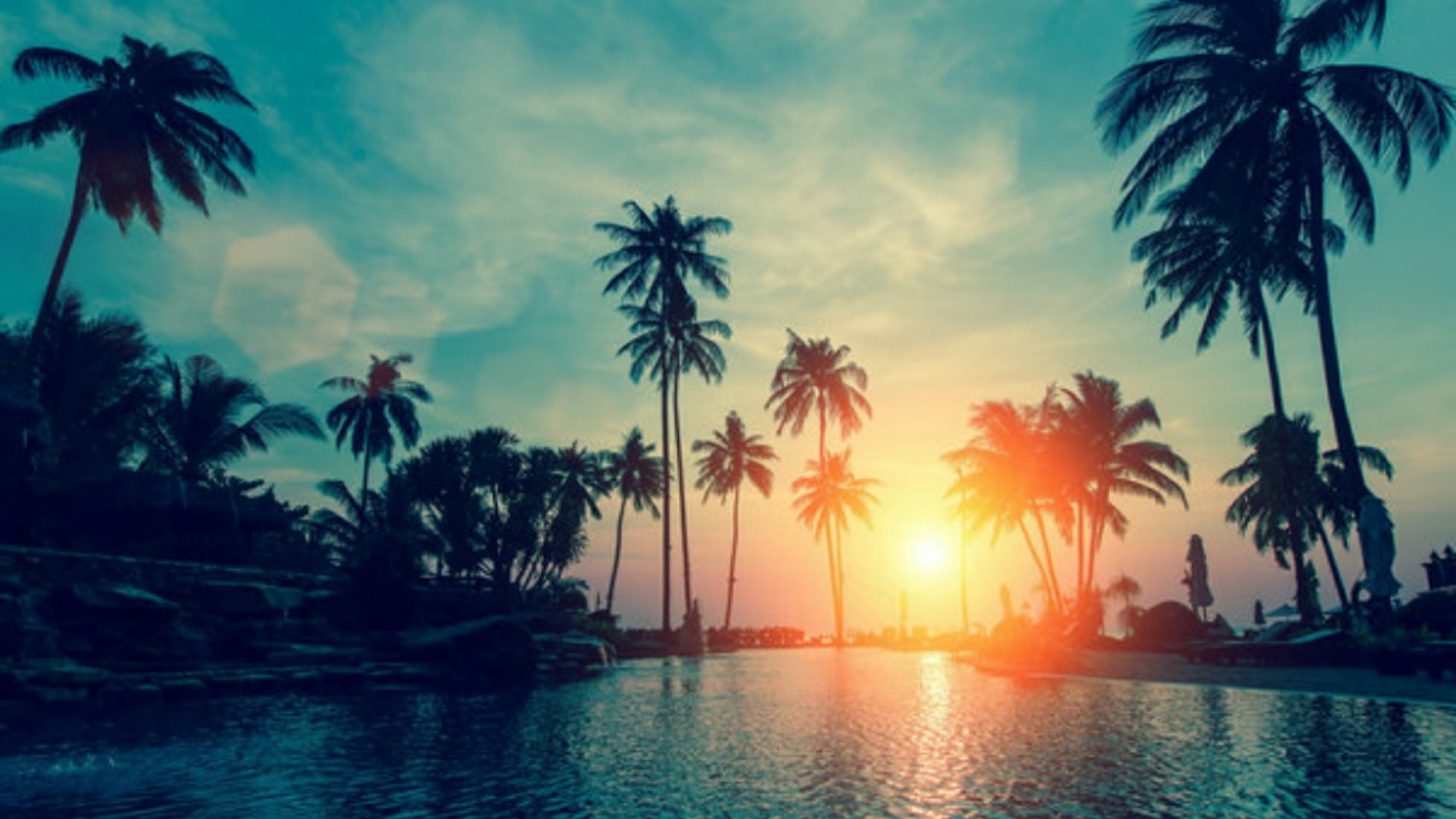 1920x1080, Palm Tree Wallpapers - Palm Trees Background Hd - HD Wallpaper 