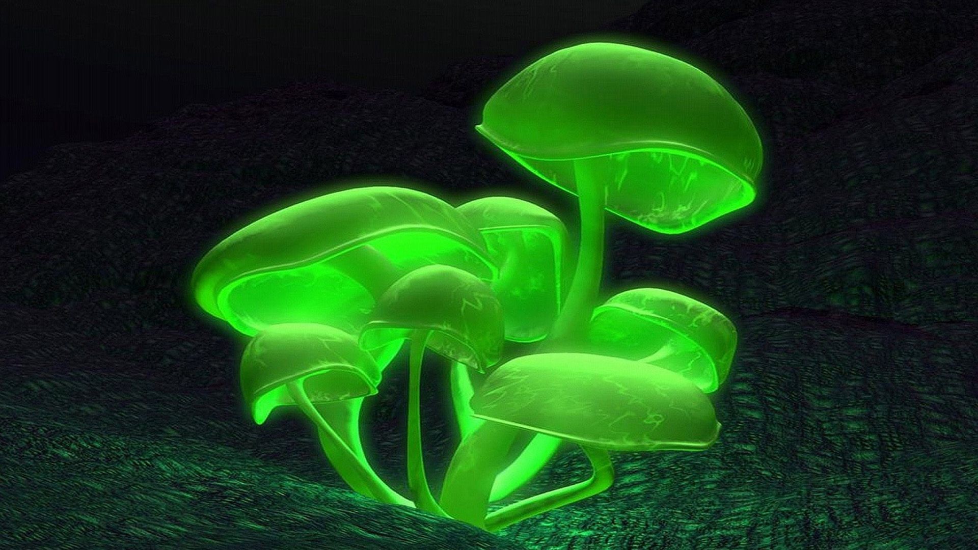 3d - Neon - Mushrooms - Wallpapers 
 Data-src /w/full/e/d/5/455382 - Neon Mushroom - HD Wallpaper 