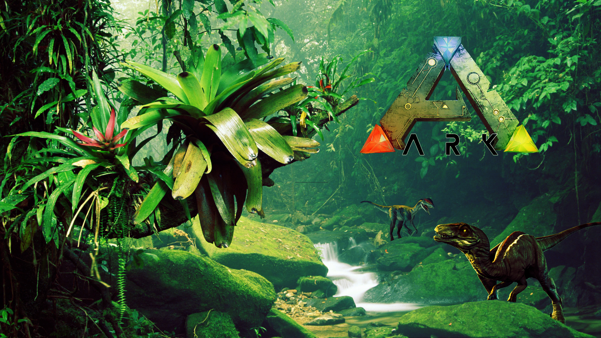 Tropical Rainforest - HD Wallpaper 