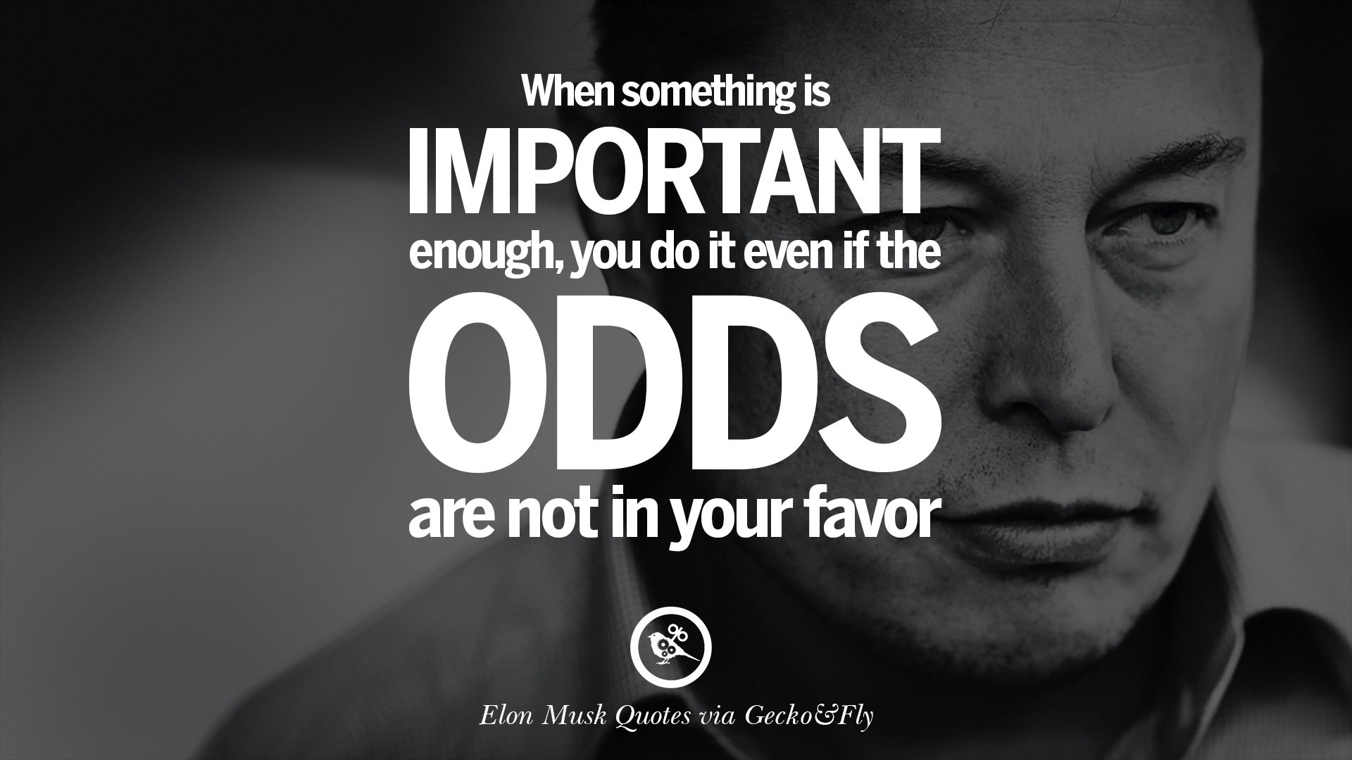 1920x1080, 10 Latest Elon Musk Quotes Wallpaper Full - Elon Musk Quotes Hd  - 1920x1080 Wallpaper 