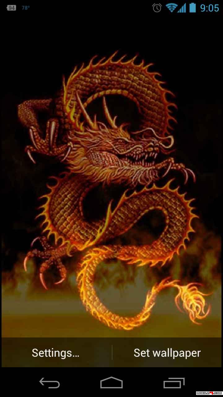 Chinese Dragon Wallpaper Iphone - HD Wallpaper 