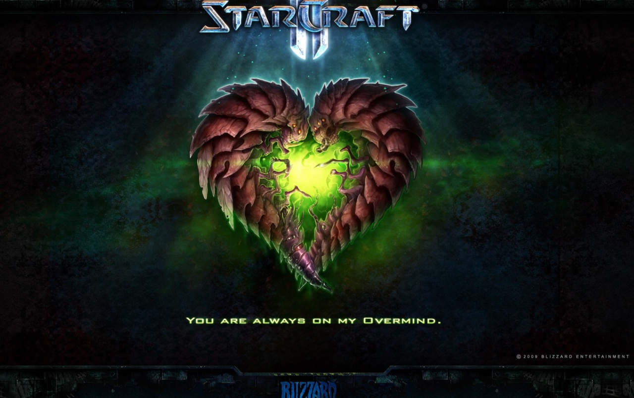 Starcraft Ii Wallpapers - Starcraft 2 You Are Always On My Overmind - HD Wallpaper 