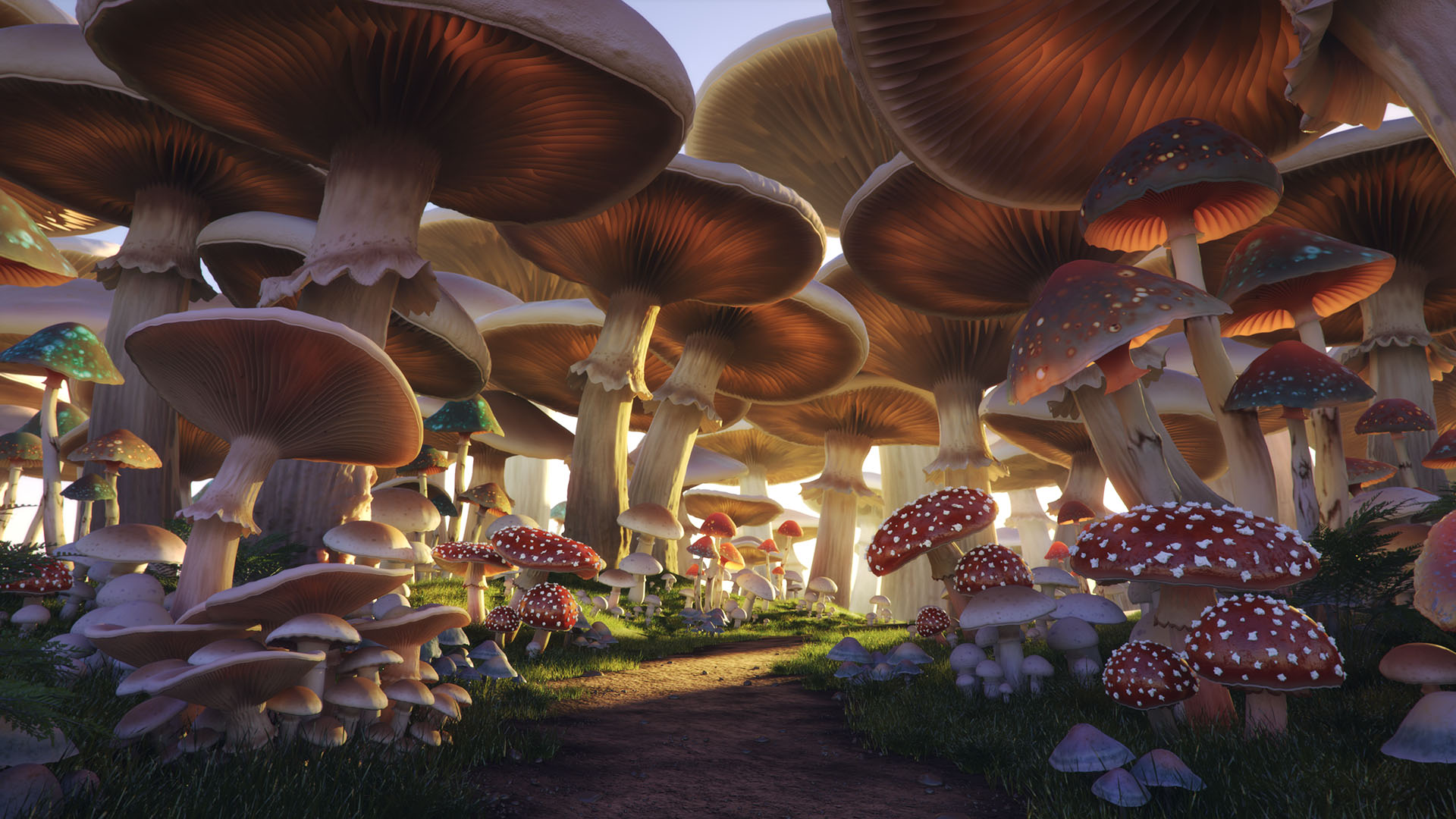 Mushroom Forest - HD Wallpaper 