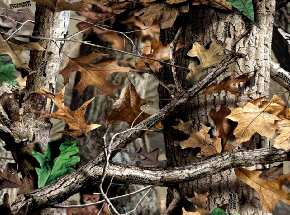 Realtree Camo Hd Backgrounds - Realtree Camo Background Hd - HD Wallpaper 