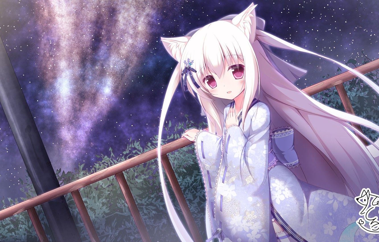 Photo Wallpaper Night, Girl, Neko - Kawaii Neko Girl - HD Wallpaper 