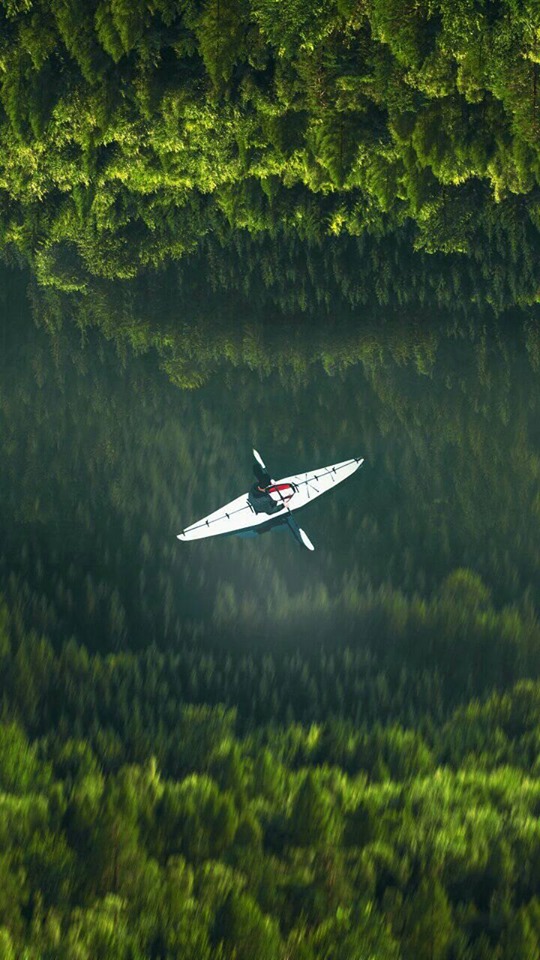 Kind With Everyone - HD Wallpaper 