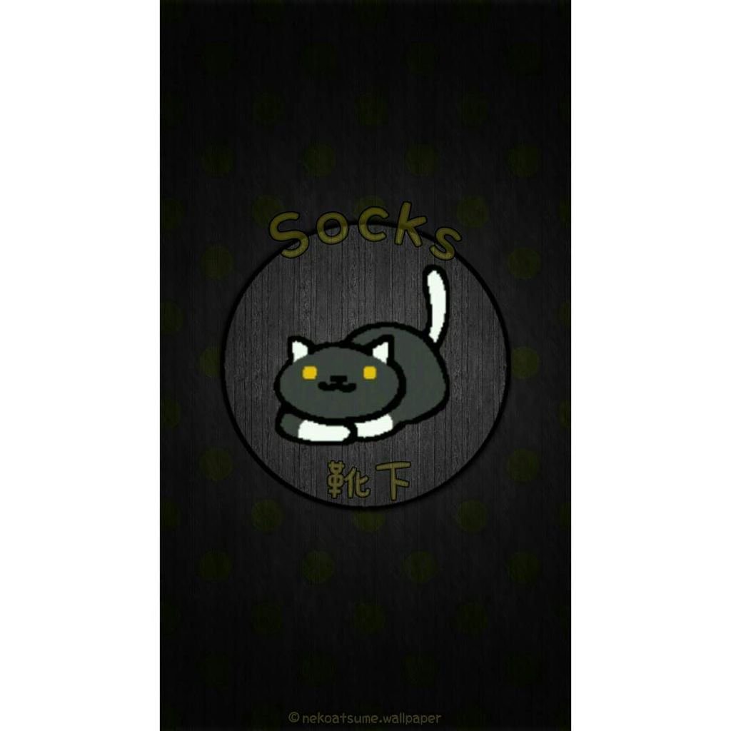 Black Cat - HD Wallpaper 