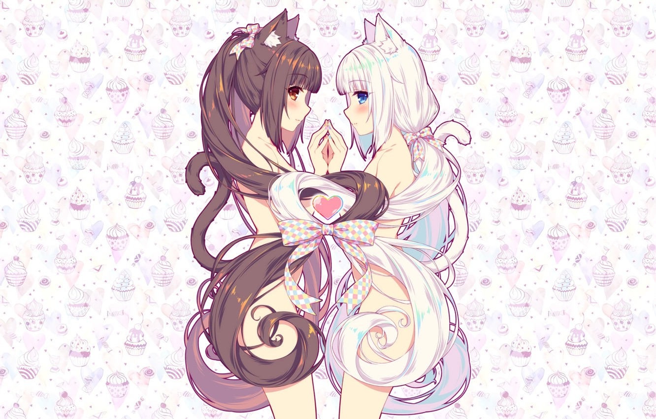 Photo Wallpaper Girls Anime Neko Nekopara Cute Ecchi 1332x850 Wallpaper Teahub Io