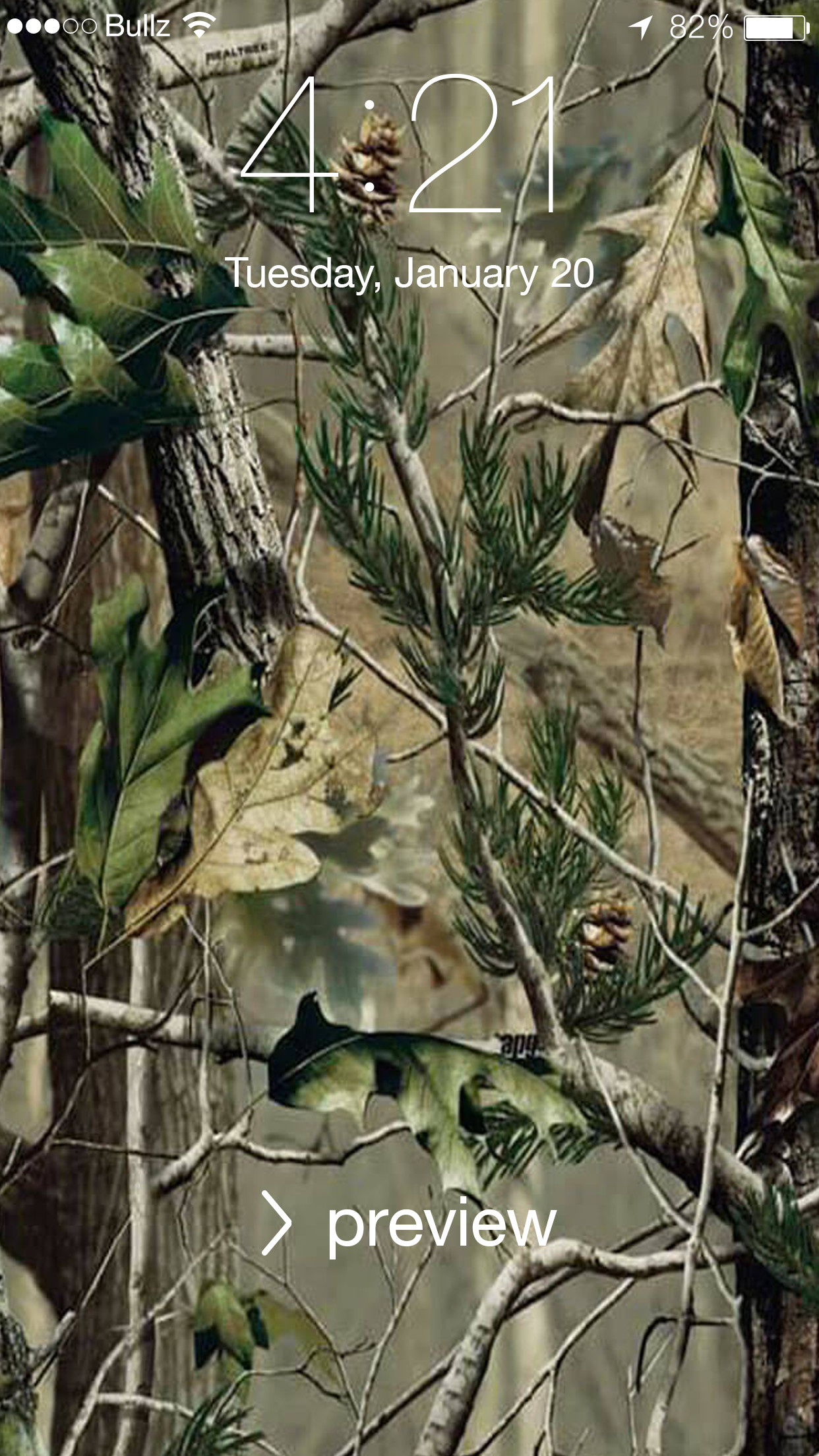Realtree Camo Background - HD Wallpaper 