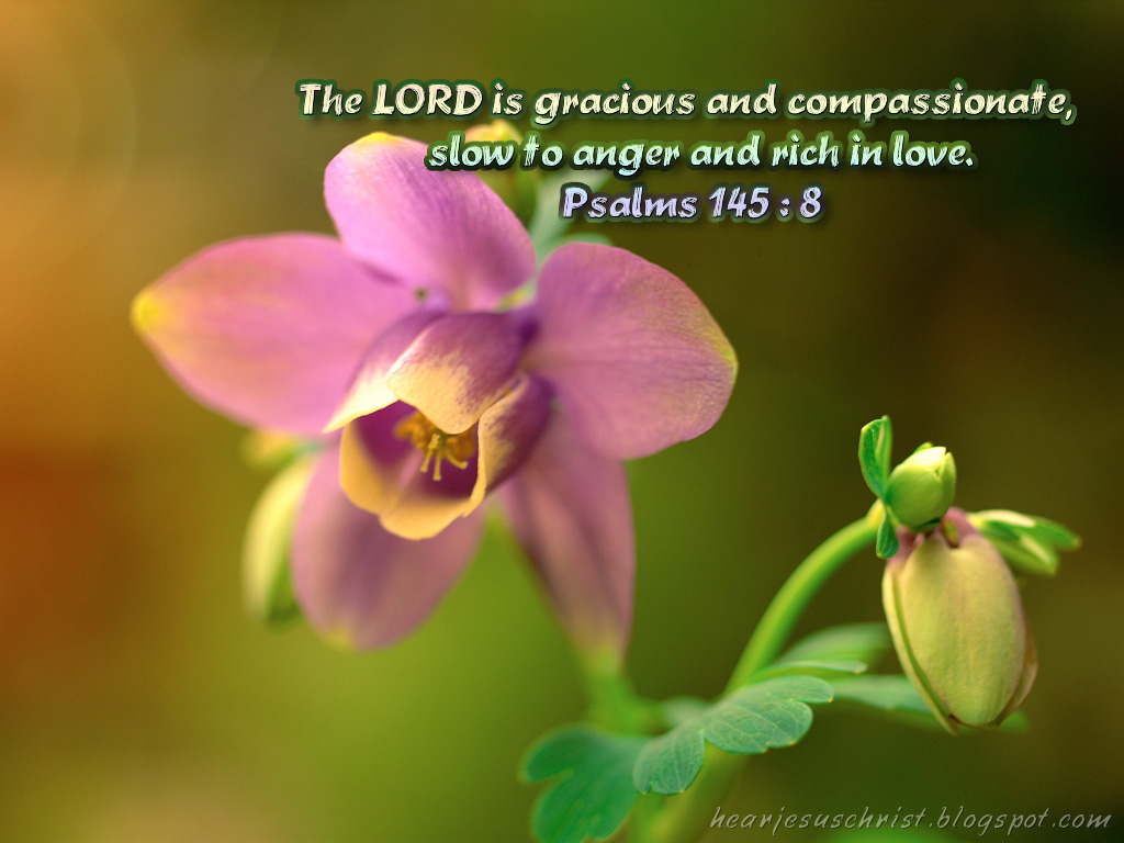 8 God Rich In Love Christian Wallpaper Free Download - Christian Wallpapers With Bible Verses About Love - HD Wallpaper 
