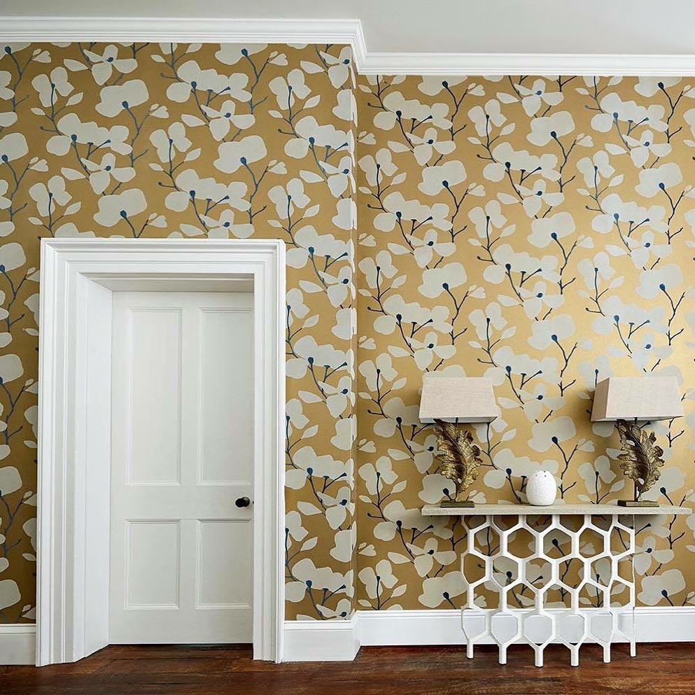 Harlequin Momentum 5 Kienze - HD Wallpaper 