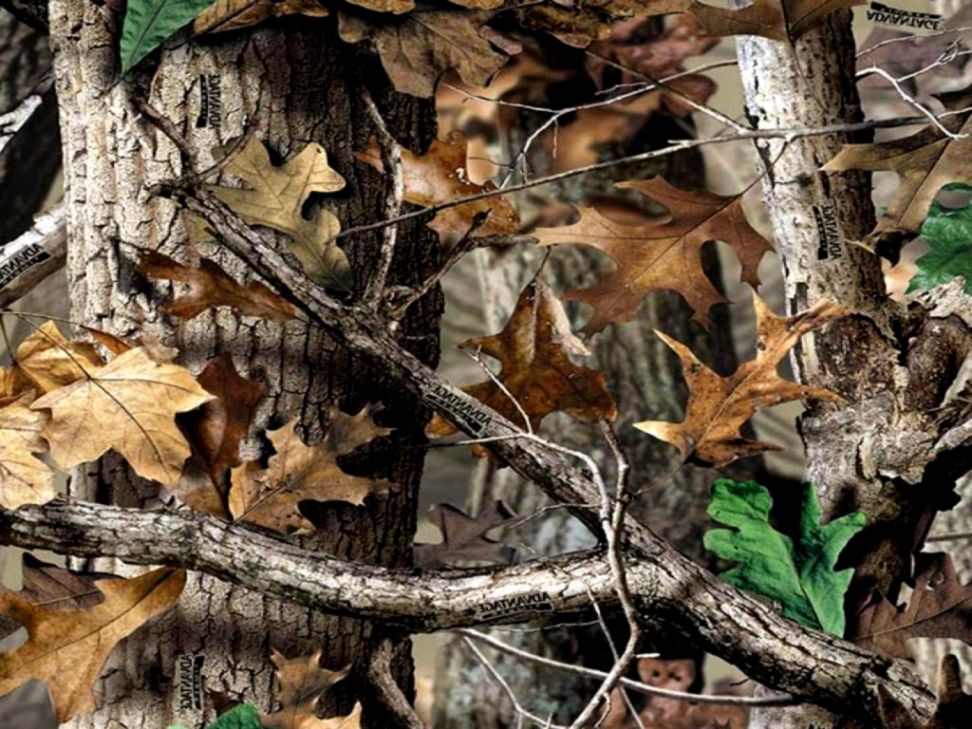 Realtree Camo Hd Backgrounds Pixels Hd Wallpapers - Realtree Camo Background - HD Wallpaper 