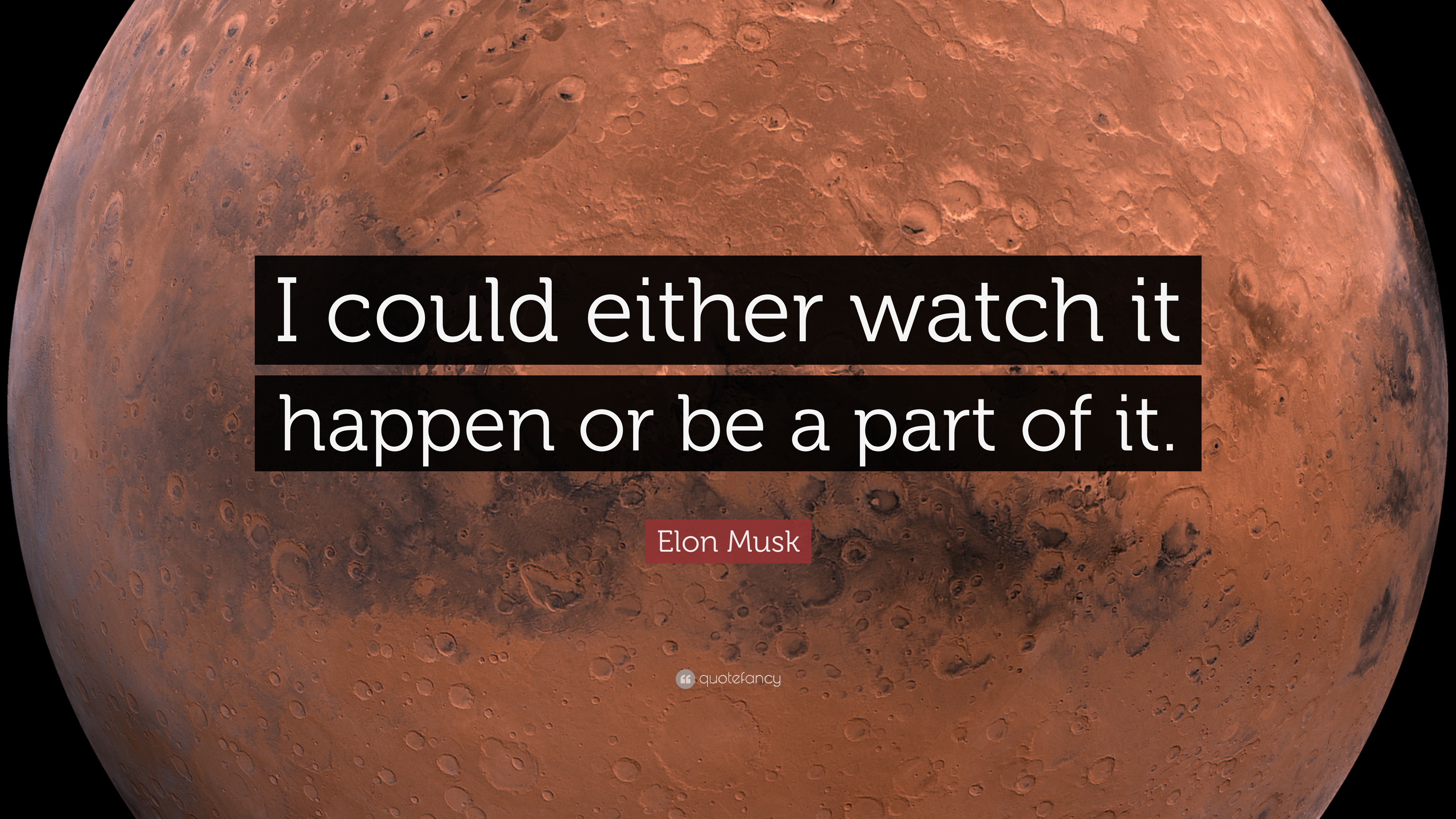 Elon Musk Quote - HD Wallpaper 