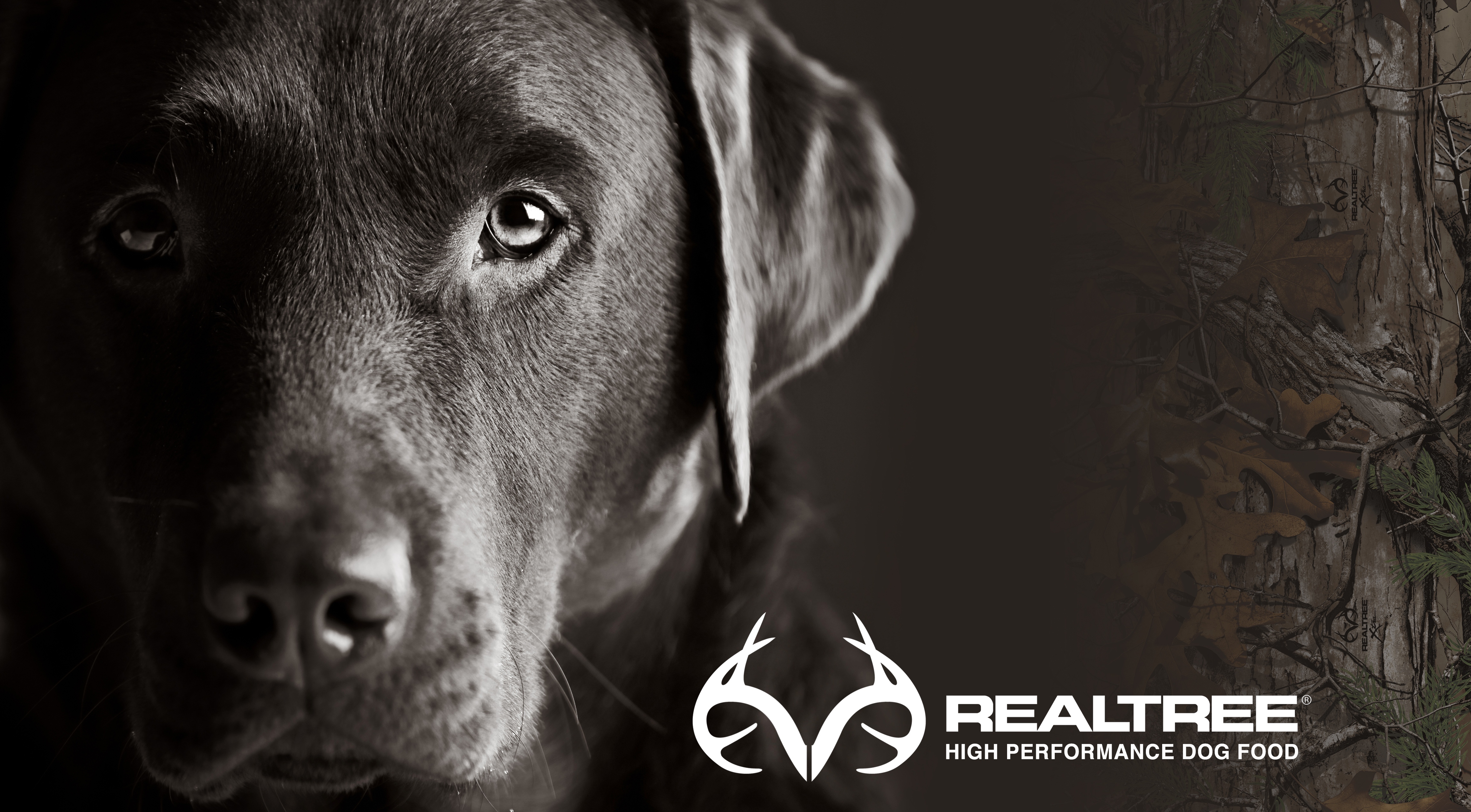 Realtree Wallpaper Background Download - HD Wallpaper 