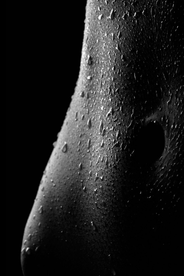 Black And White Women - HD Wallpaper 