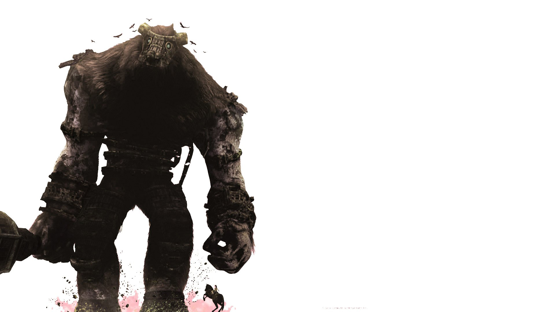 Wallpaper - Shadow Of Colossus Png - HD Wallpaper 