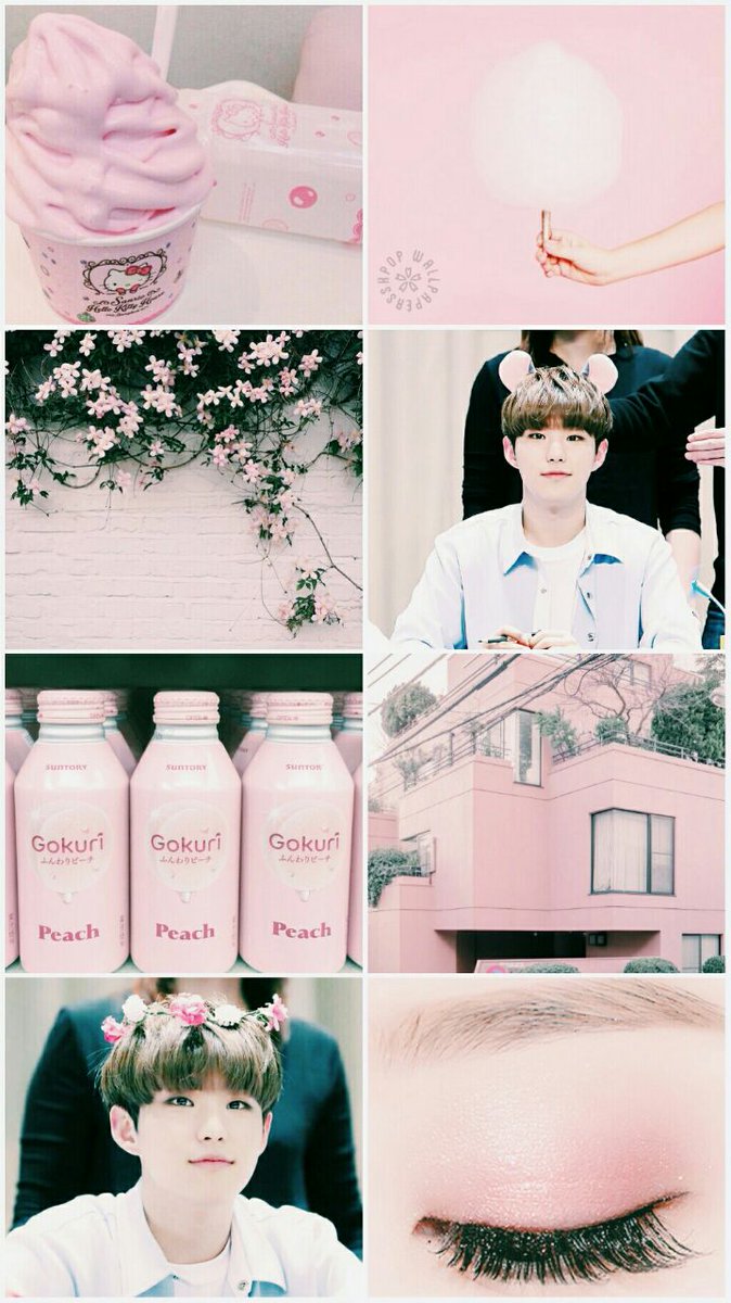 Collage - HD Wallpaper 