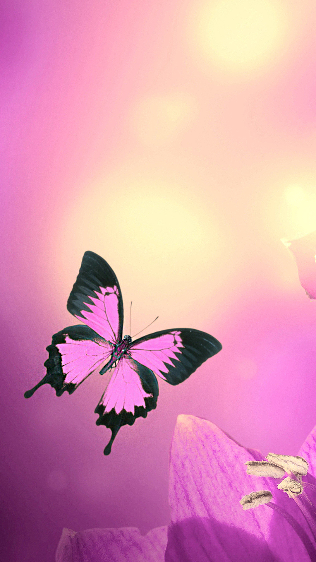 Pink Butterfly Wallpaper Pink Butterfly Wallpaper Hd 1080x1920 Wallpaper Teahub Io