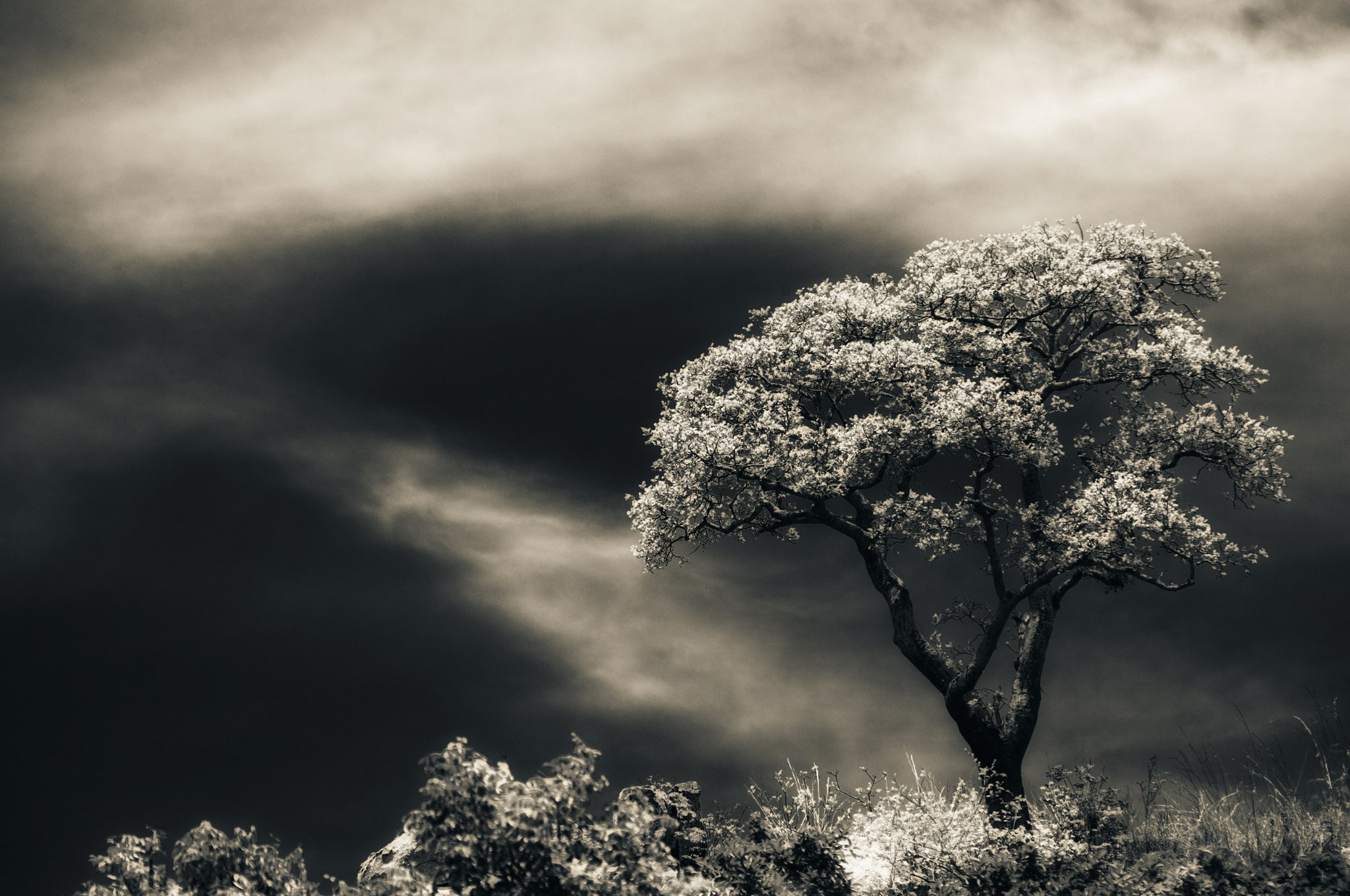 Quotes On Evolving Spiritually - HD Wallpaper 