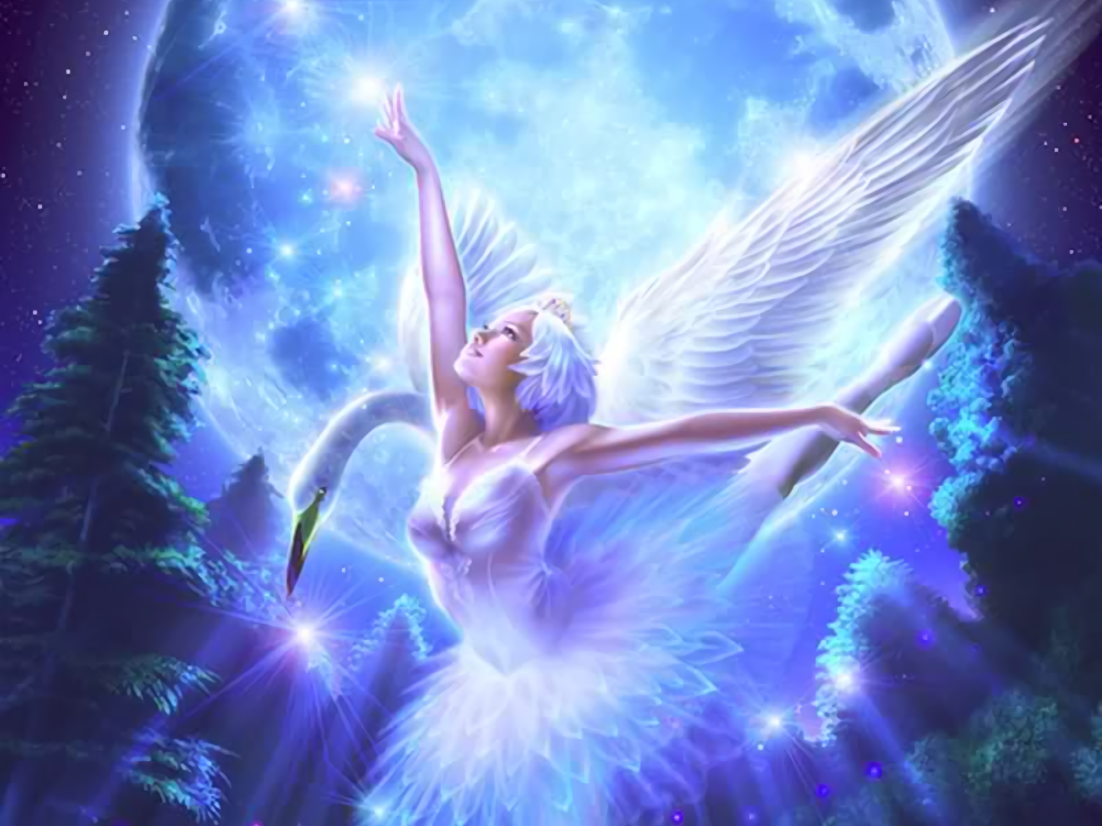 Swan Princess - HD Wallpaper 