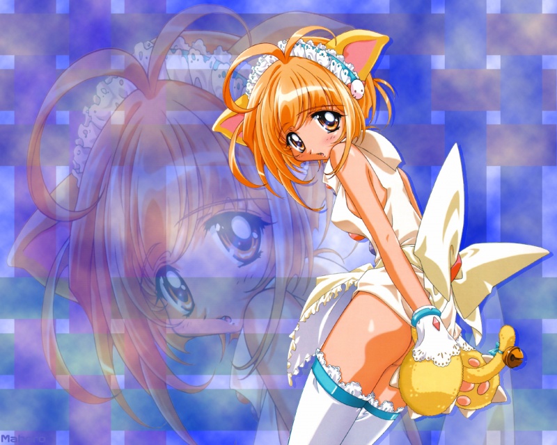 Neko Girl Wallpaper - Caitlin Anime Neko - HD Wallpaper 