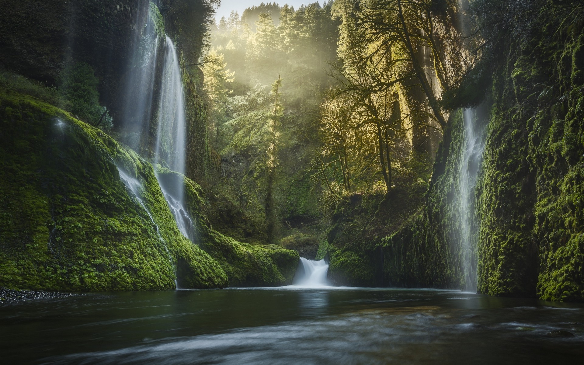 Oregon Waterfall Forest - HD Wallpaper 