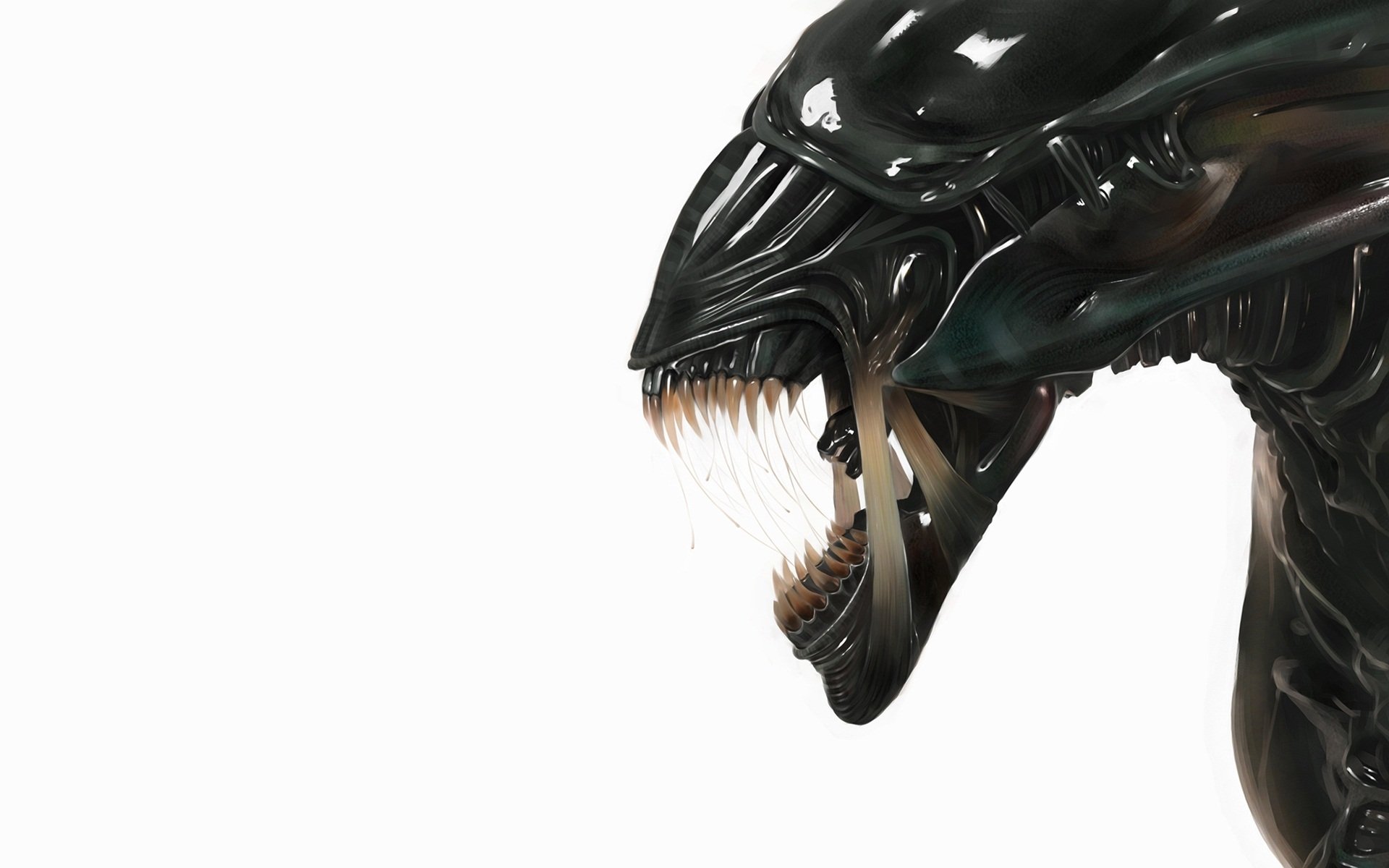 Alien Wallpaper Hd - HD Wallpaper 