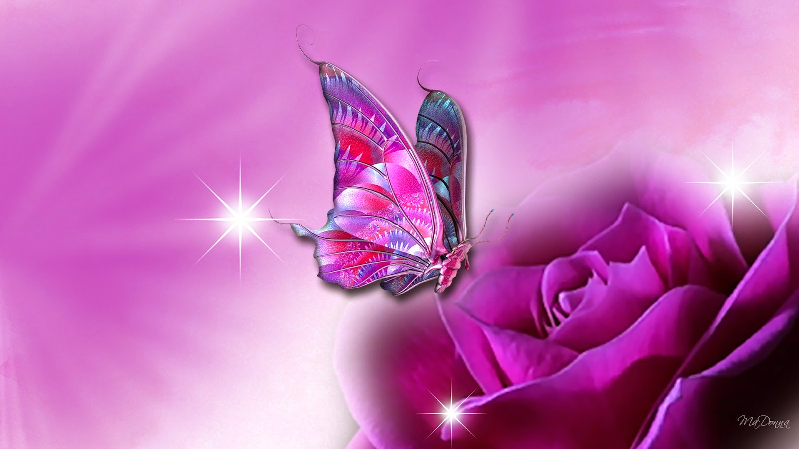 Beautiful Butterfly Wallpaper Hd - HD Wallpaper 
