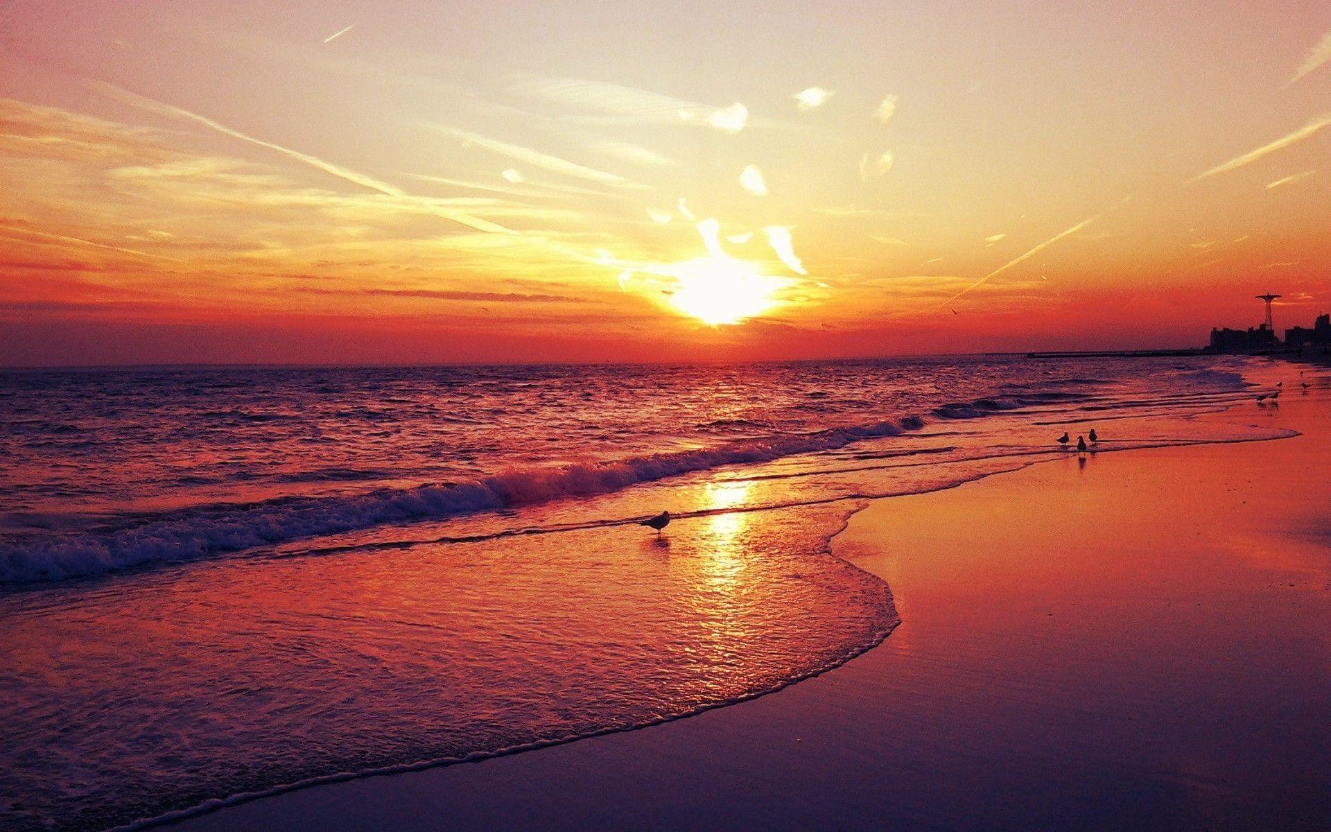 1920x1200, Popular Resolutions 
 Data Id 261193 
 Data - Beach Sunset Background With Seagulls - HD Wallpaper 