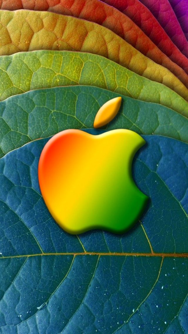 Micromax Wallpaper Hd Mobile Downloading - HD Wallpaper 