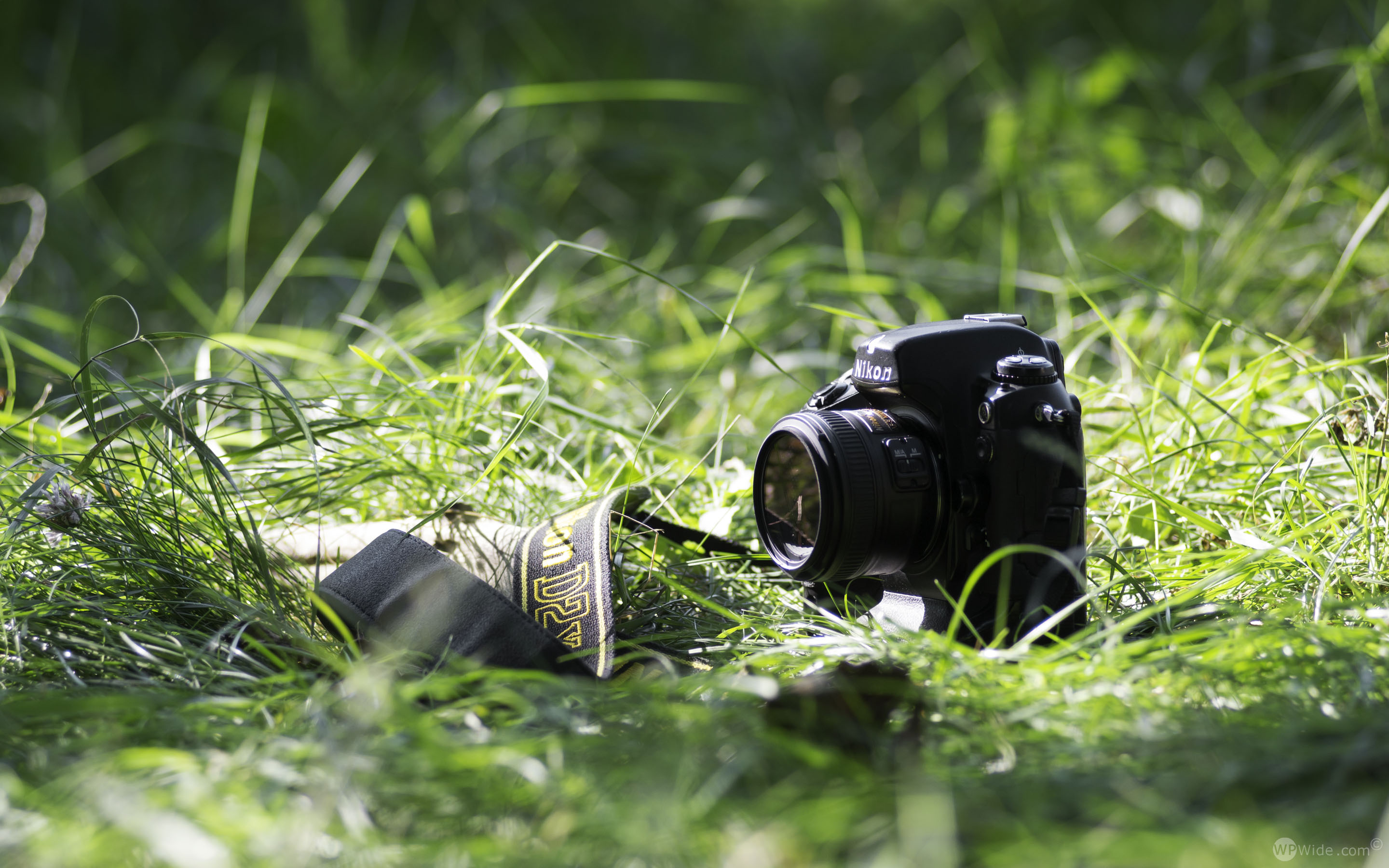 Old Dslr Nikon D2x 50mm Lens Grass Wide Hd Wallpaper - HD Wallpaper 