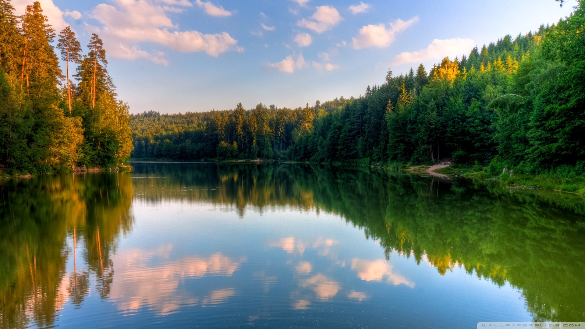 Forest River - 1920x1080 Wallpaper Forest River - 1920x1080 Wallpaper