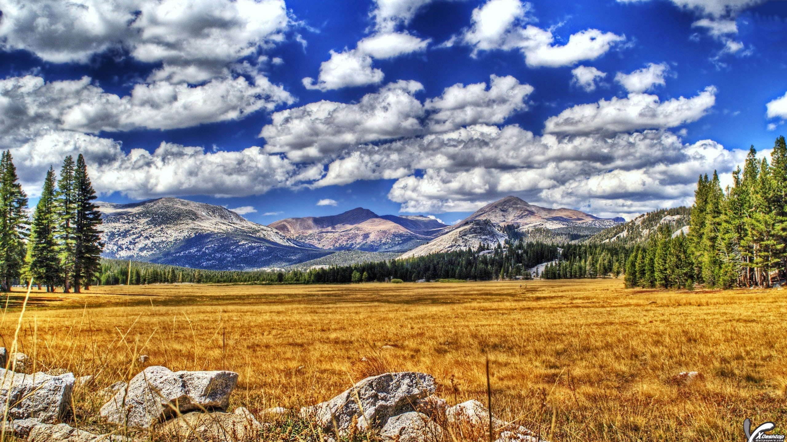 Rare Scenery - HD Wallpaper 