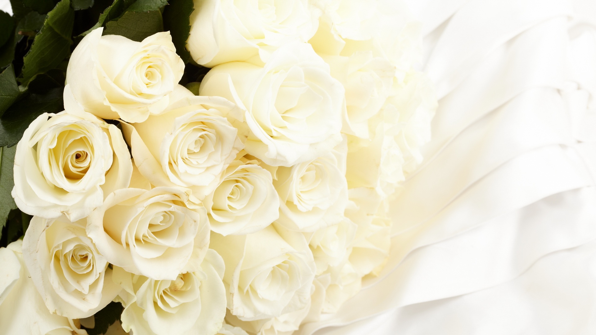 Pure White Rose Wallpaper - Bunch Of White Roses - HD Wallpaper 