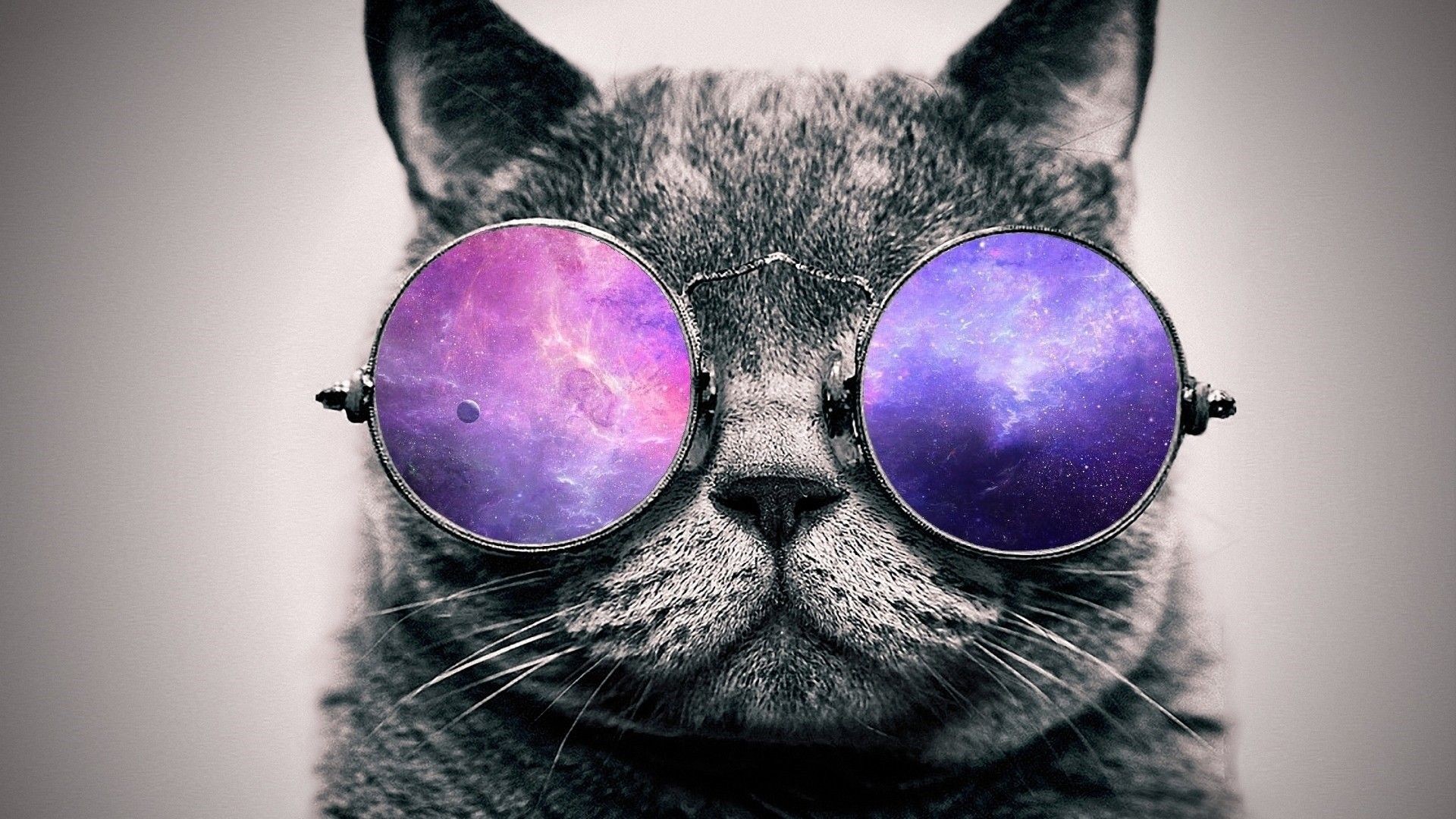 1920x1080, Cat With Sunglasses Wallpaper - Cat With Glasses Wallpaper Hd - HD Wallpaper 