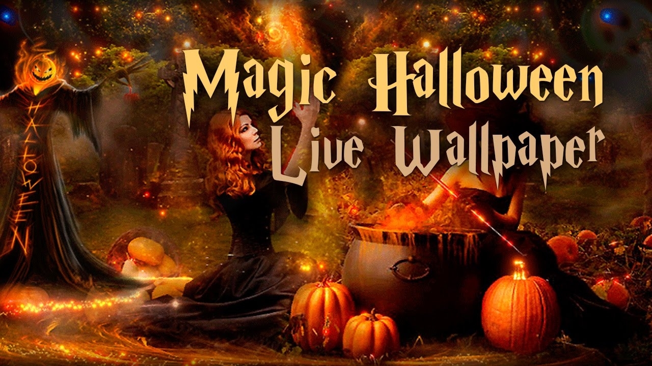 Magic Halloween - HD Wallpaper 