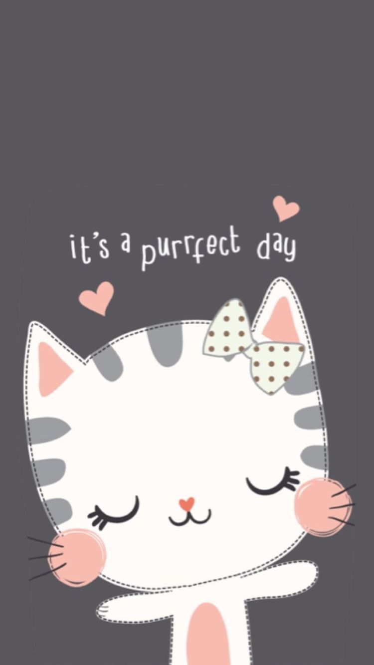 Cartoon Cat Wallpaper - HD Wallpaper 